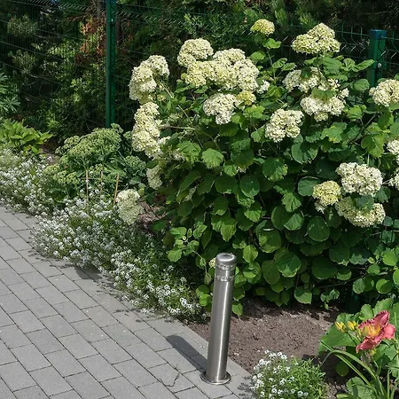 Daire Vejo Bure, Privataus Apgyvendinimo Paslaugos *
