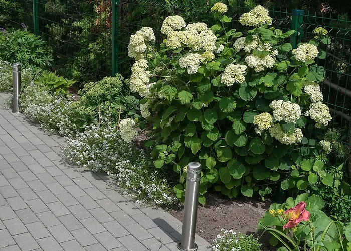 דירה Vejo Bure *